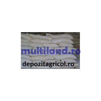 Saci RAFIE 40x60